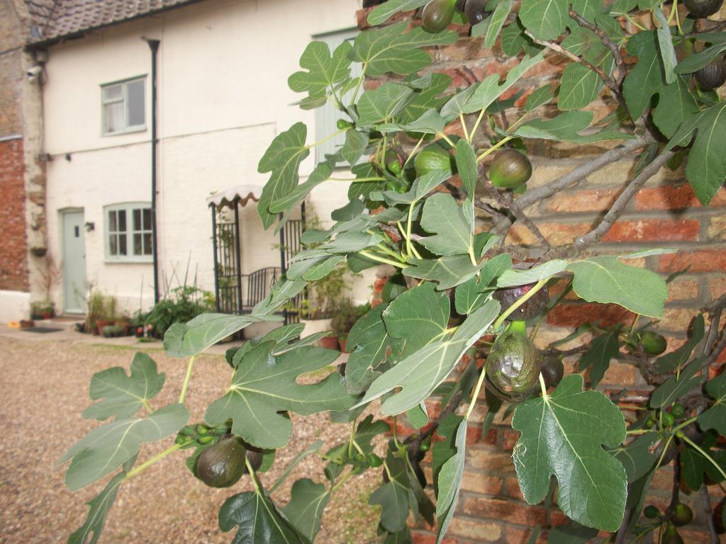 The Walnuts Country House West Row Ngoại thất bức ảnh